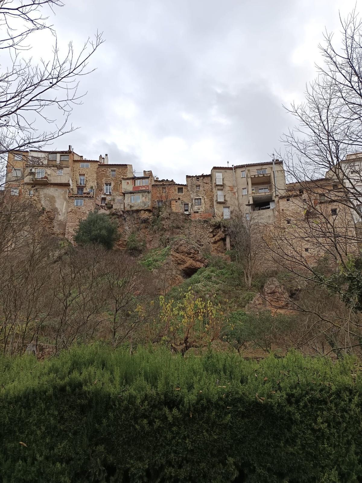 La Floresta La Floresta