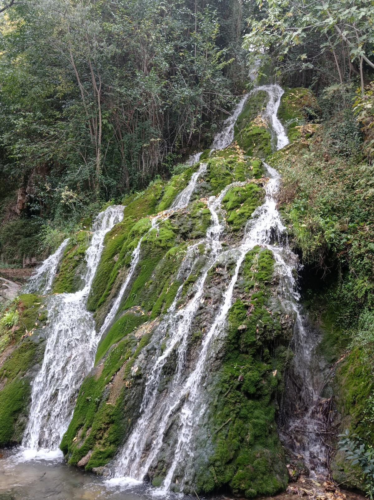 La Floresta La Floresta