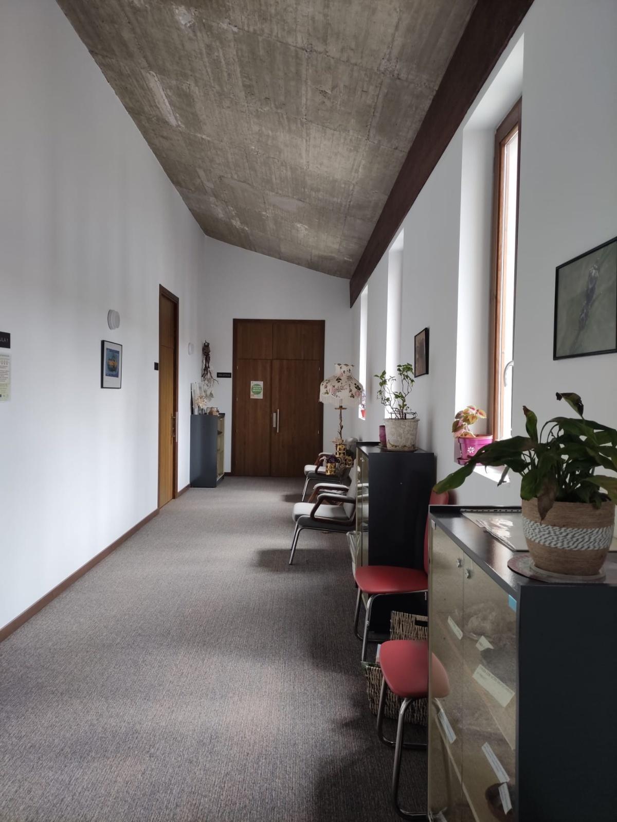 The Library The Library