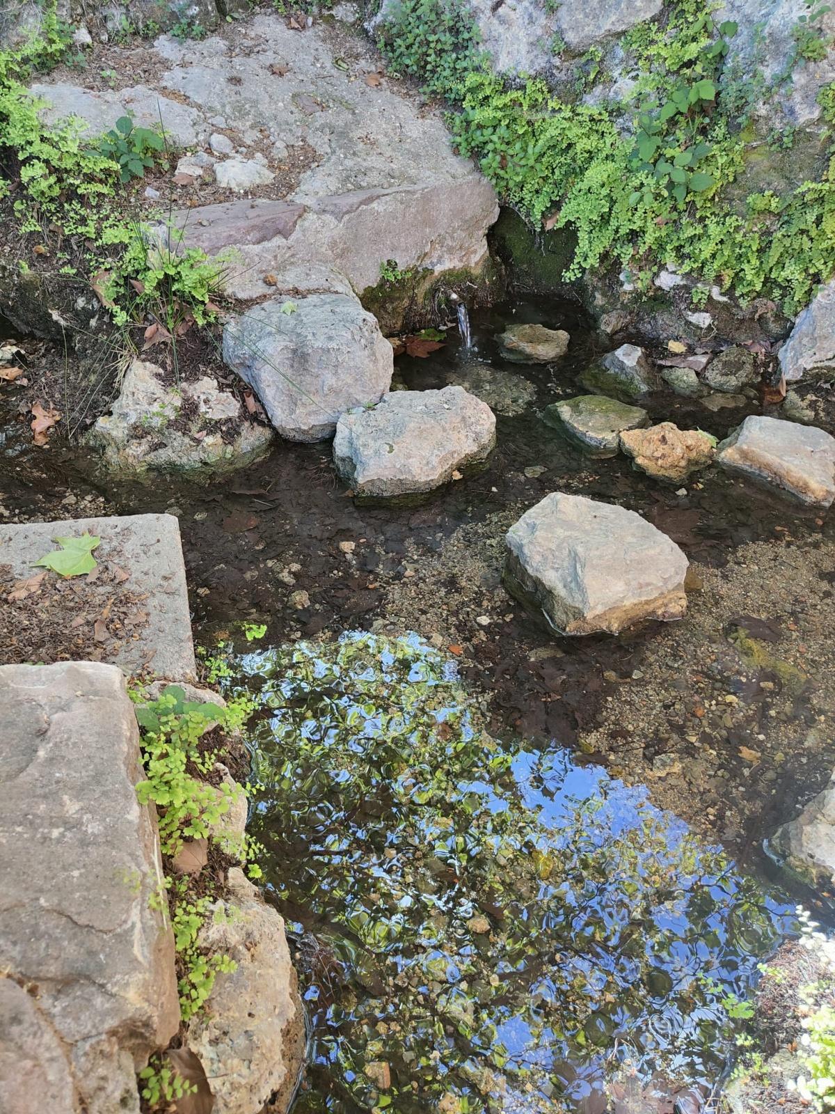 Masadas Blancas Masadas Blancas