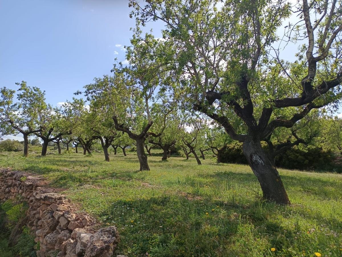 Casas de Parrela (Houses of Parrela) Casas de Parrela (Houses of Parrela)