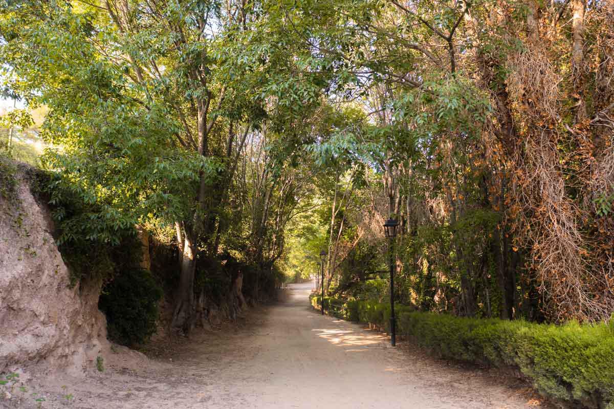 La Floresta La Floresta