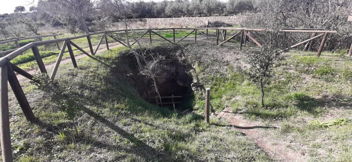 Los Ojos del Prao (The Eyes of the Meadow) Los Ojos del Prao (The Eyes of the Meadow)