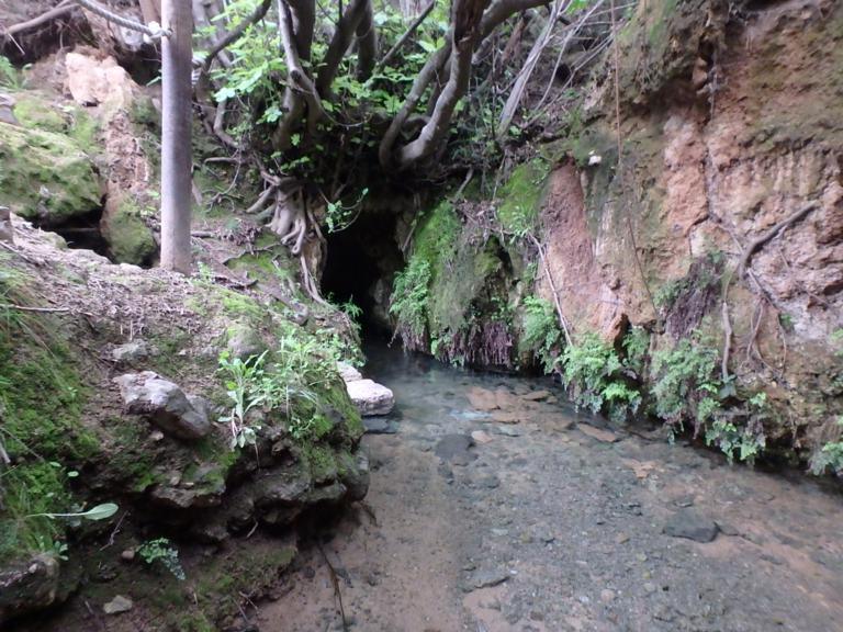 ROUTE 2: “SAN MIGUEL” & “LOS OJOS DEL PRAO”
