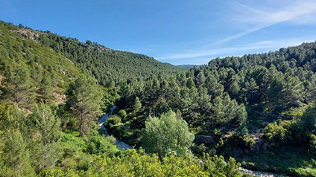 Villa de Viver Campsite Villa de Viver Campsite