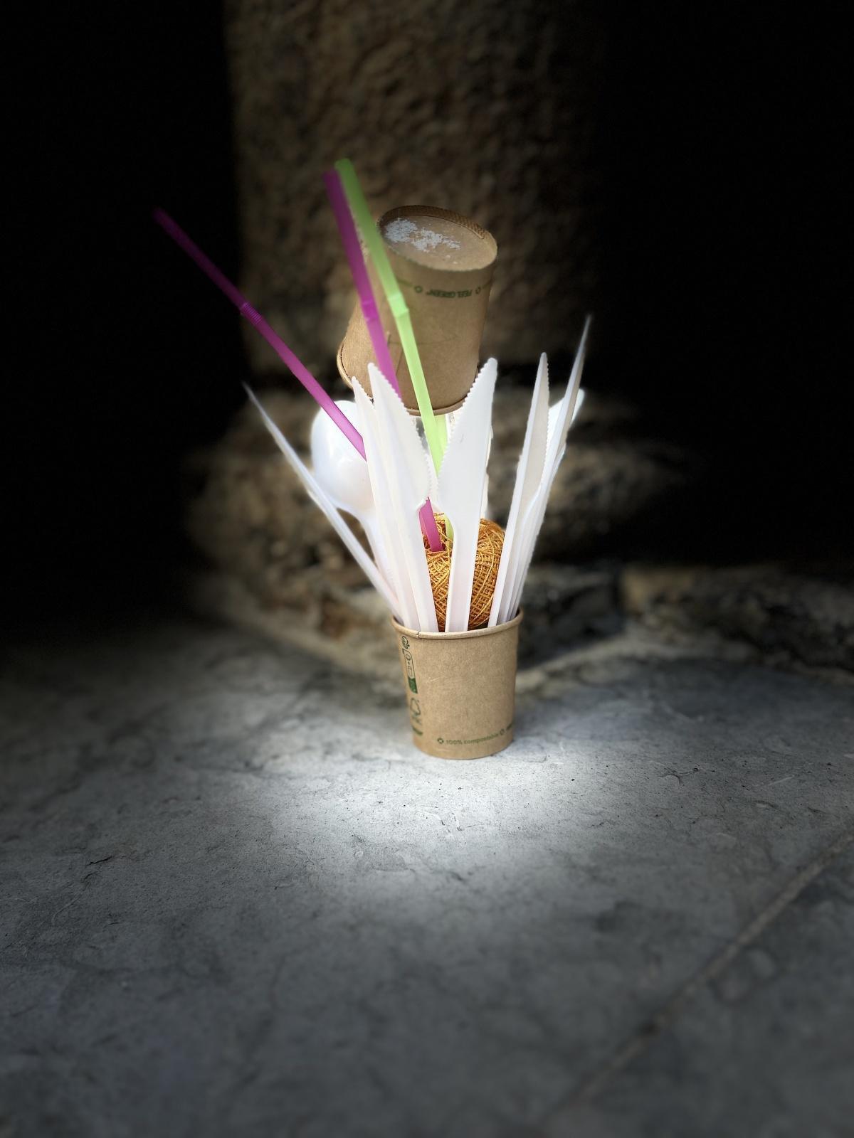 Book Day at Viver 2025: Books that find their home Book Day at Viver 2025: Books that find their home