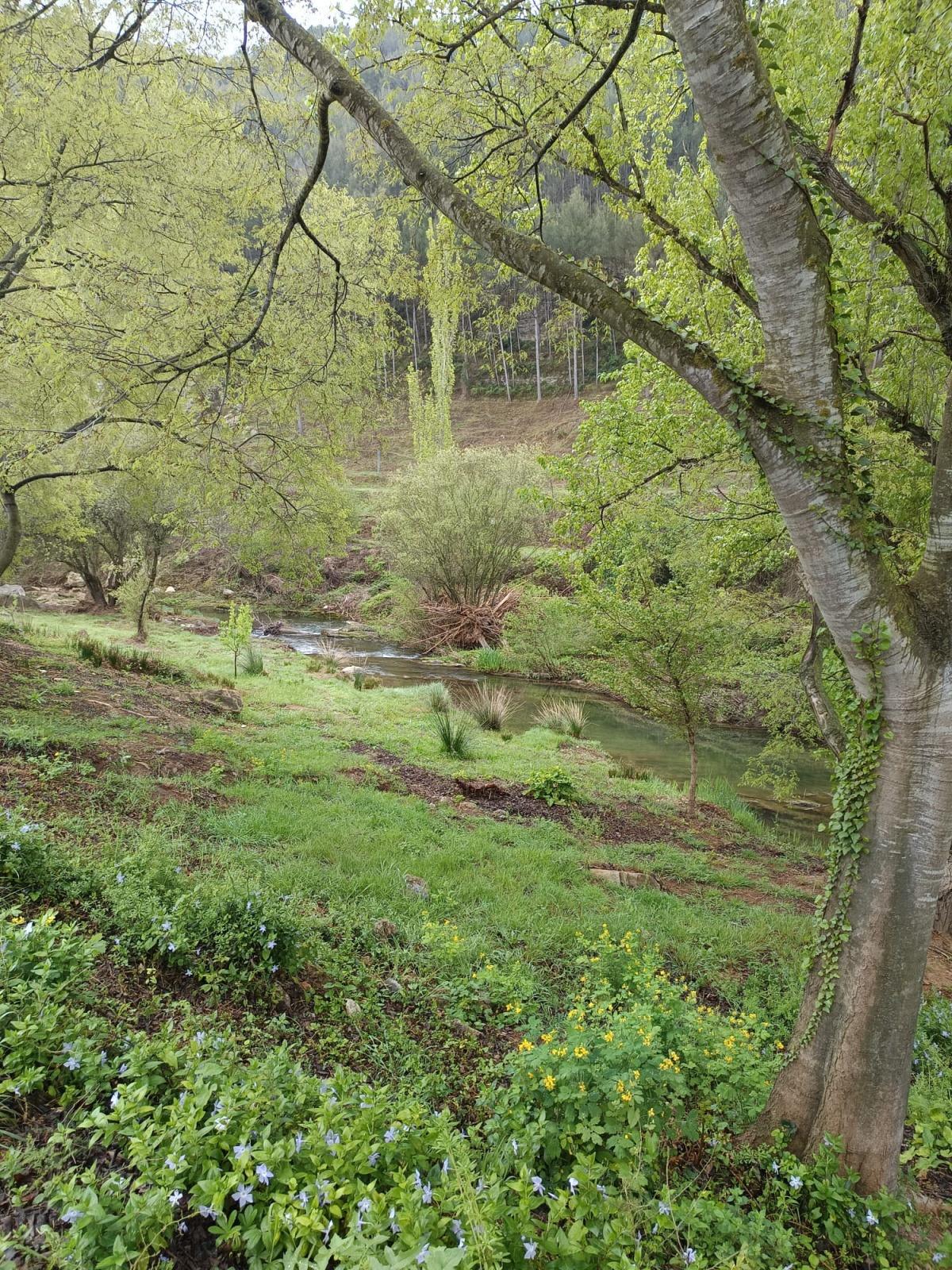  This is what El Sargal and the Sardino waterfalls looked like today.