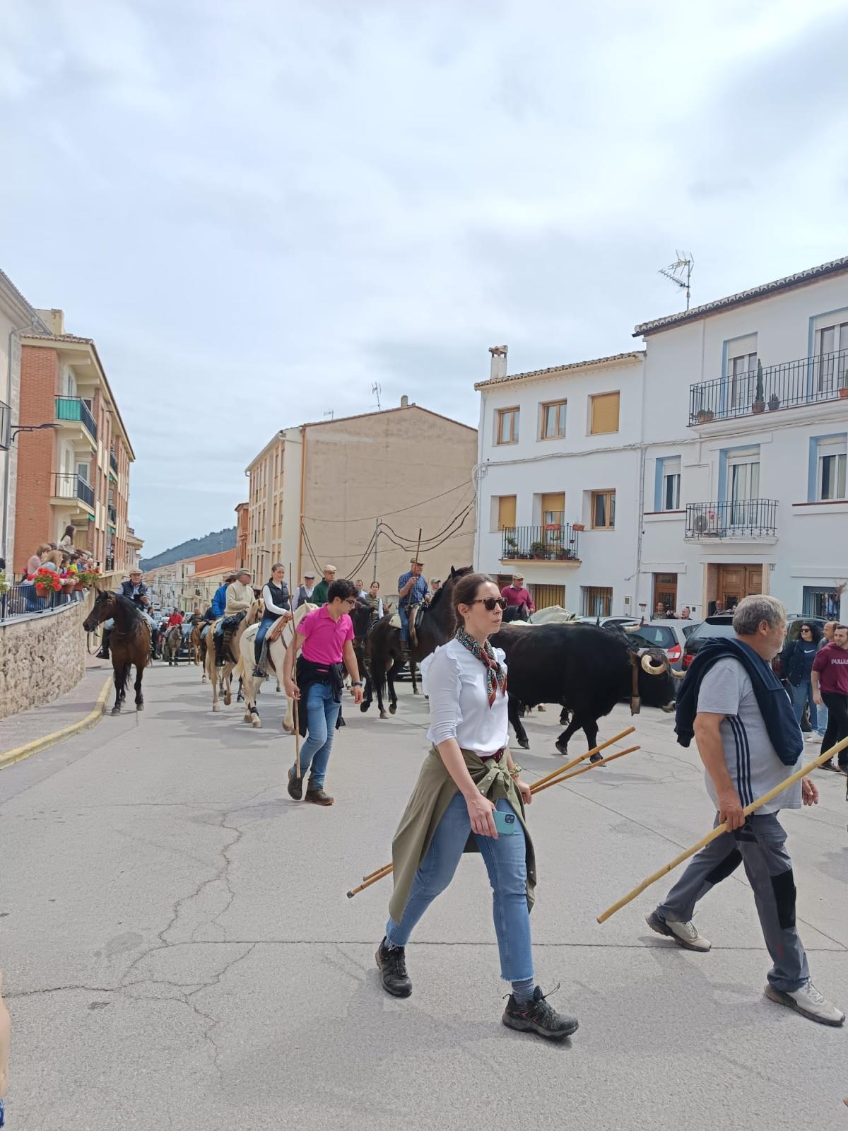 April 2025 bull run in the countryside April 2025 bull run in the countryside