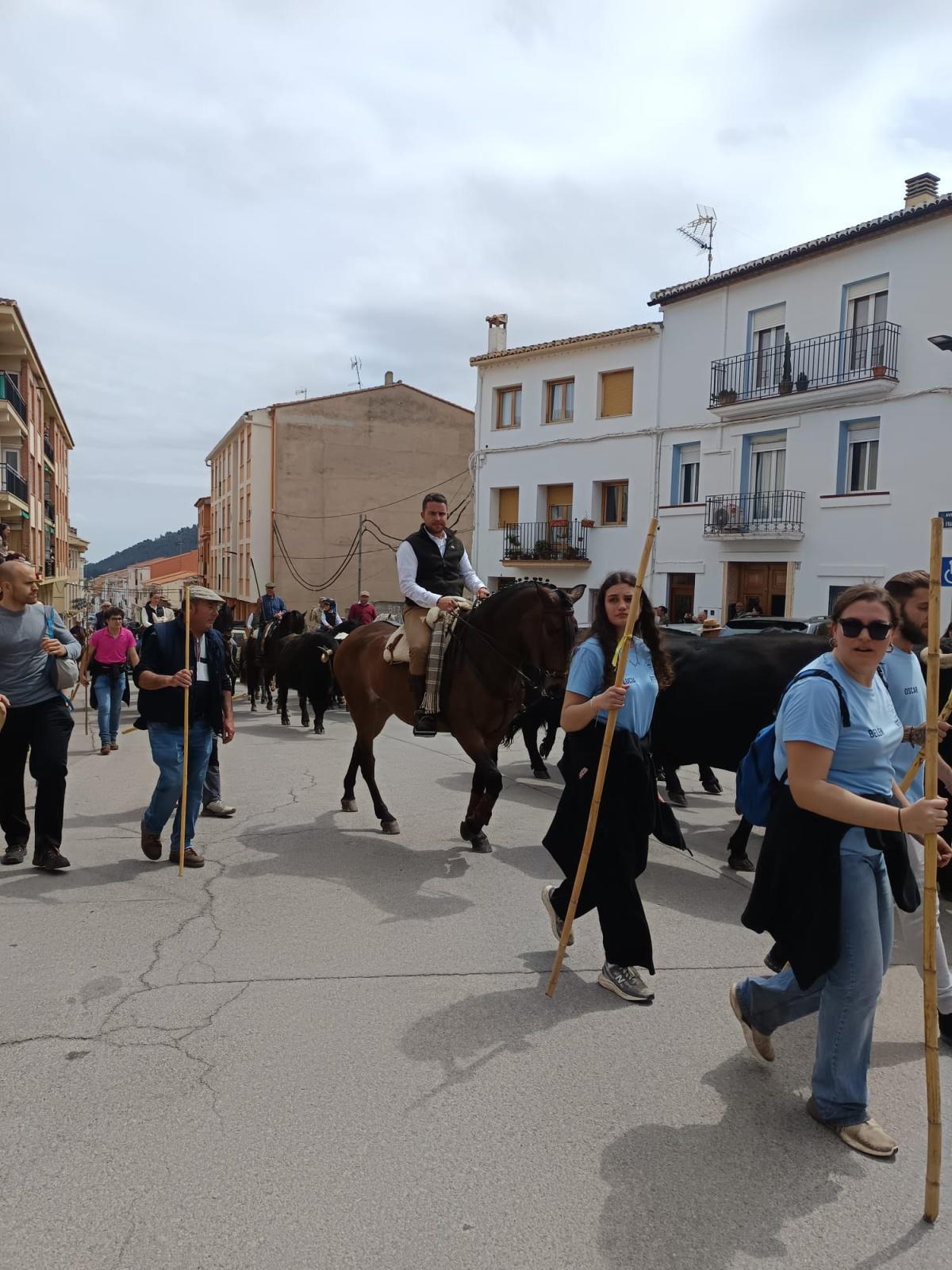 April 2025 bull run in the countryside April 2025 bull run in the countryside