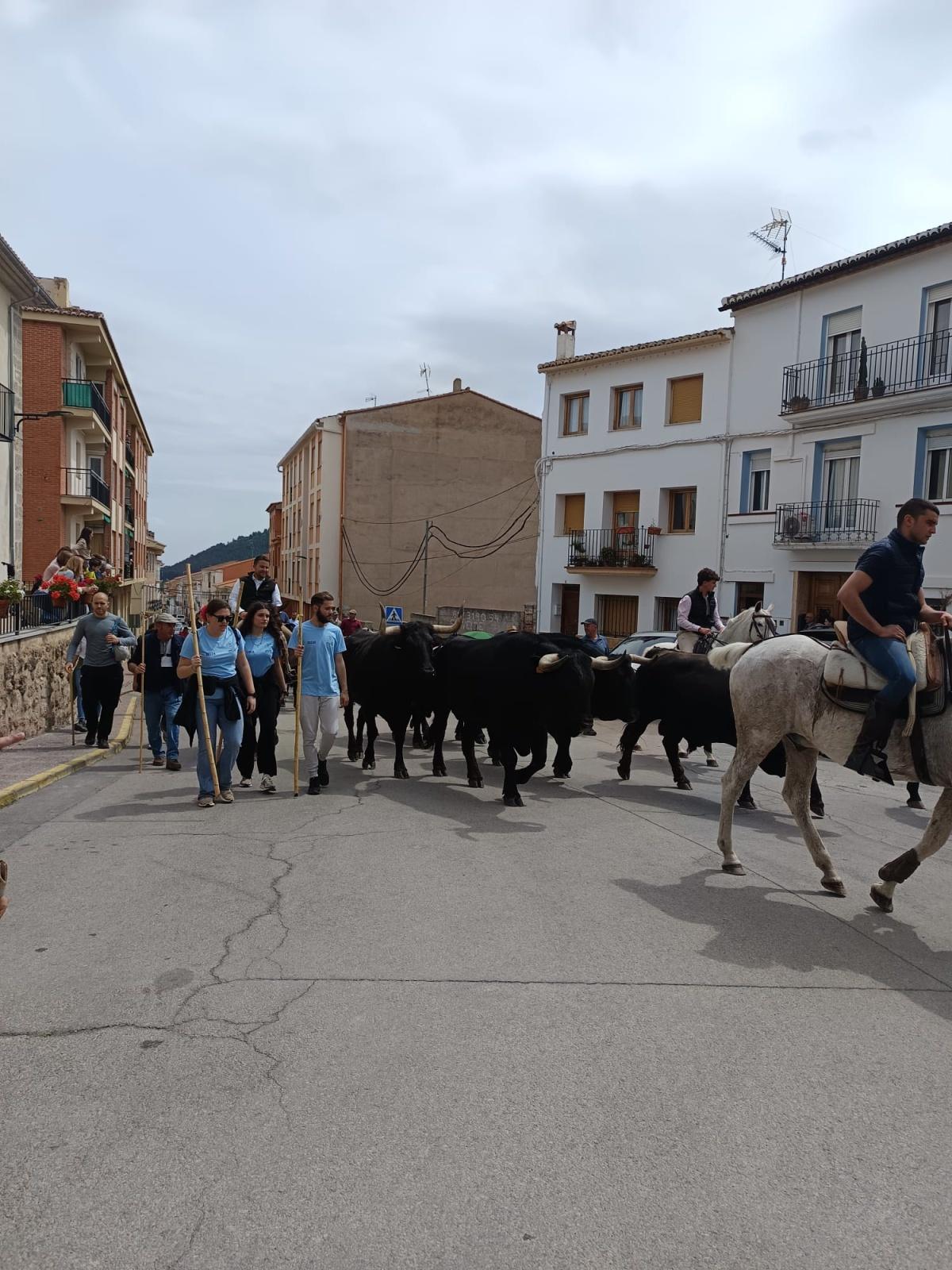 April 2025 bull run in the countryside April 2025 bull run in the countryside