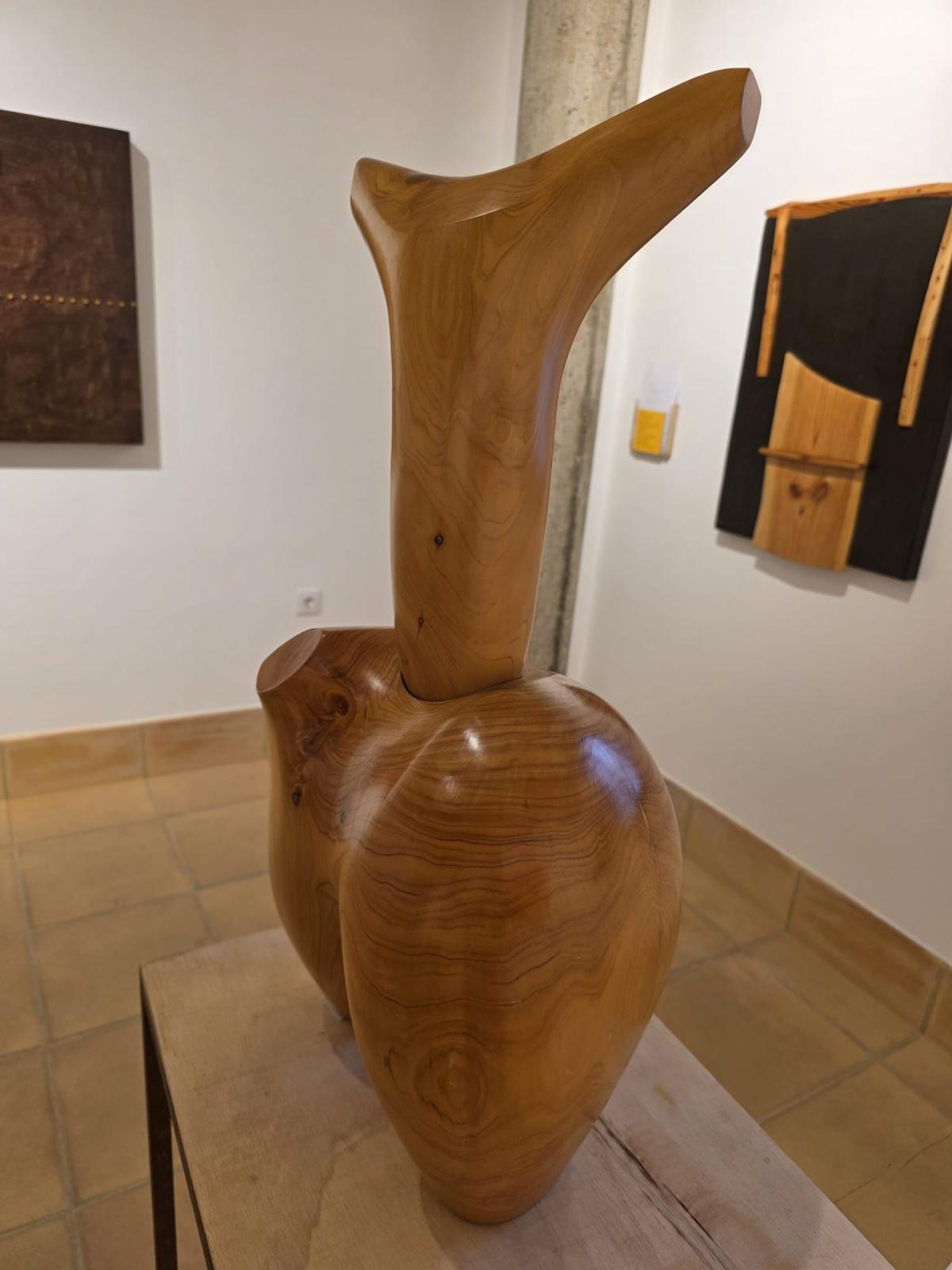 “Pulso almado, voz lignaria”, by Marcelo Díaz “Pulso almado, voz lignaria”, by Marcelo Díaz