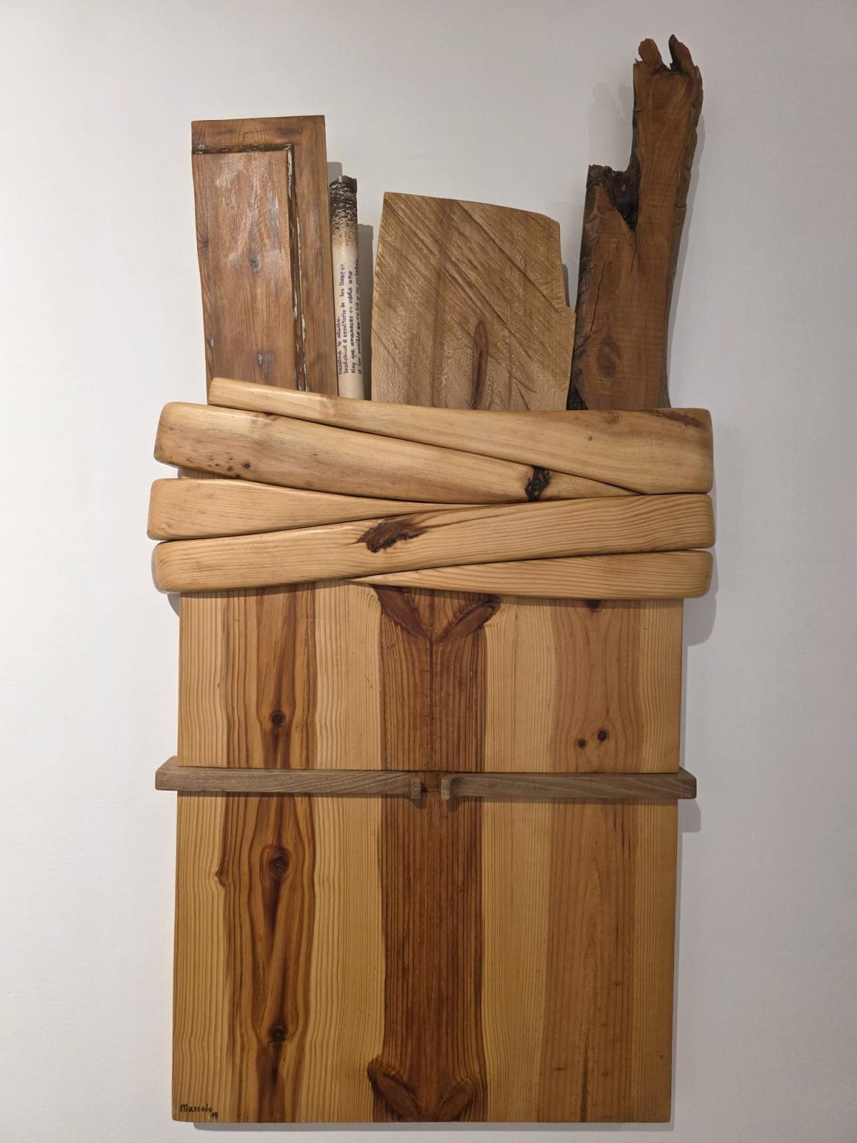 “Pulso almado, voz lignaria”, by Marcelo Díaz