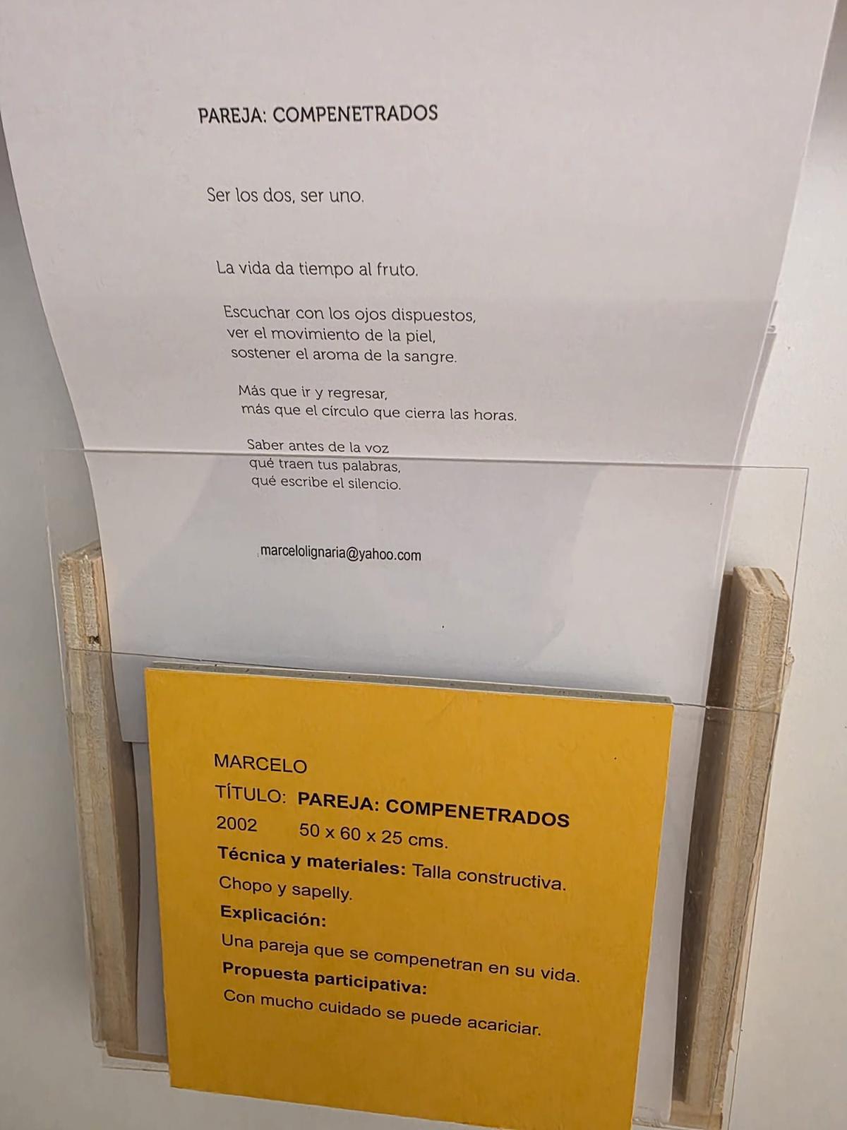 “Pulso almado, voz lignaria”, by Marcelo Díaz