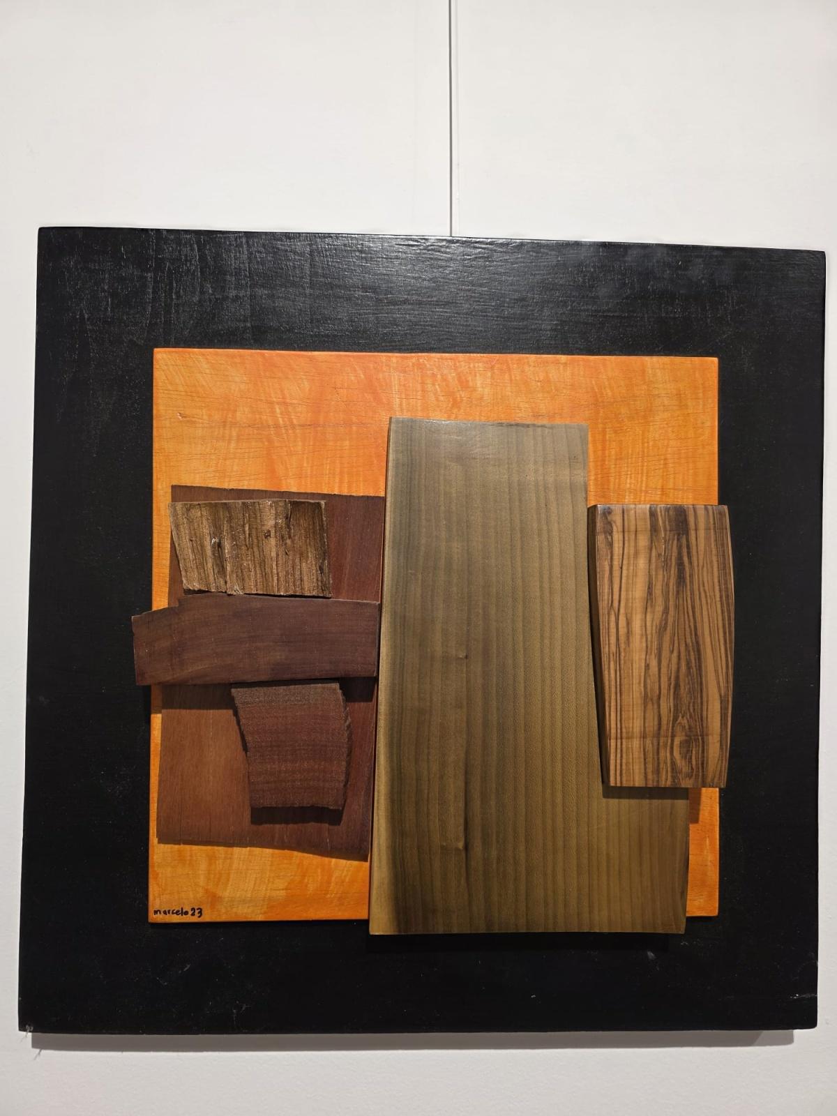 “Pulso almado, voz lignaria”, by Marcelo Díaz “Pulso almado, voz lignaria”, by Marcelo Díaz
