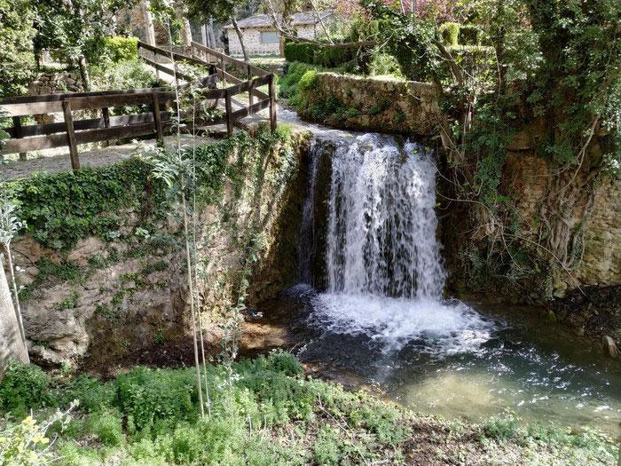 Walk in La Floresta