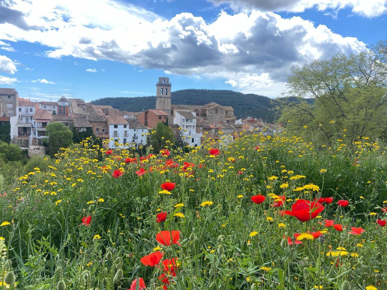 Spring in Viver
