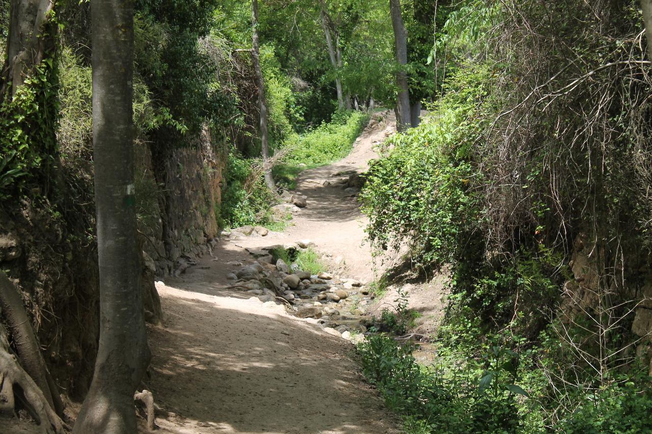 Viver Tourism – Local Trail (SL) to the Gallur Caves