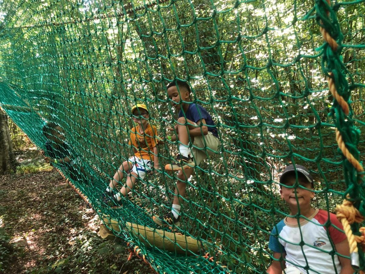 🌳Une belle sortie accrobranche pour clôturer la saison 2025-26!