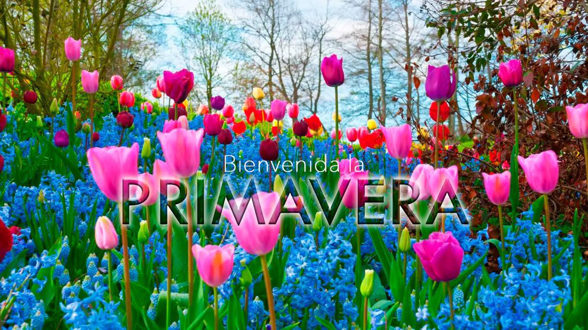 "Cuando entra la PRIMAVERA" "Cuando entra la PRIMAVERA"
