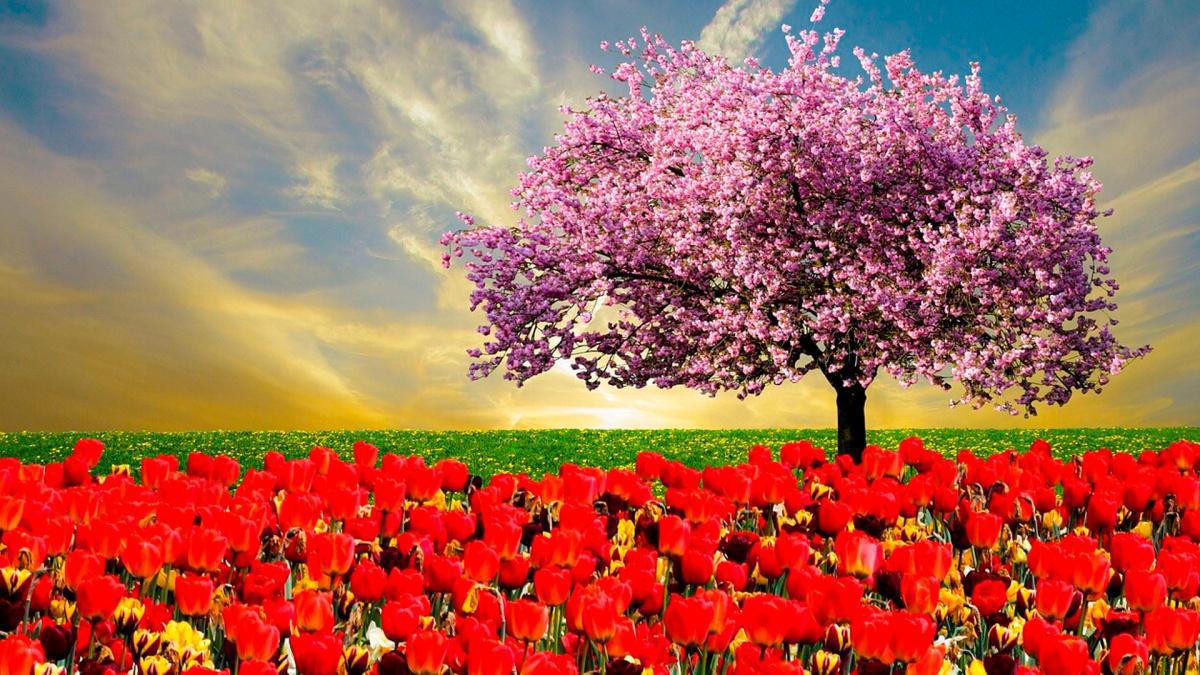 "Cuando entra la PRIMAVERA"