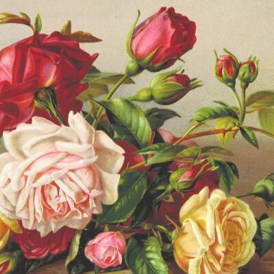 🎨Mara Voss 🎨Mara Voss
