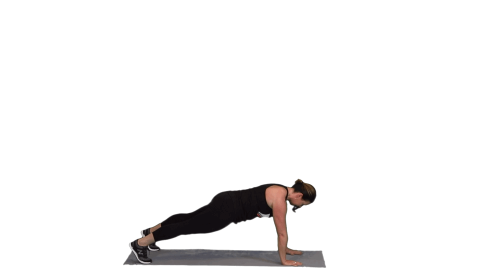 GONE ROGUE GONE ROGUE