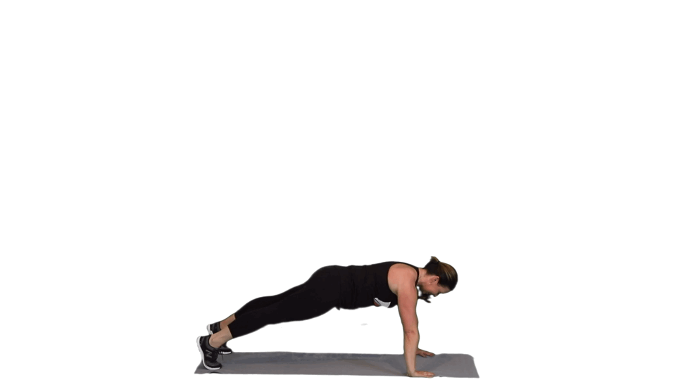 THE CHAMPION THE CHAMPION