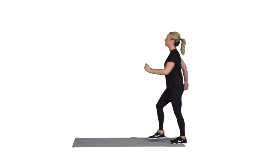 THE CHAMPION THE CHAMPION