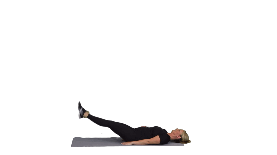 THE CHAMPION THE CHAMPION