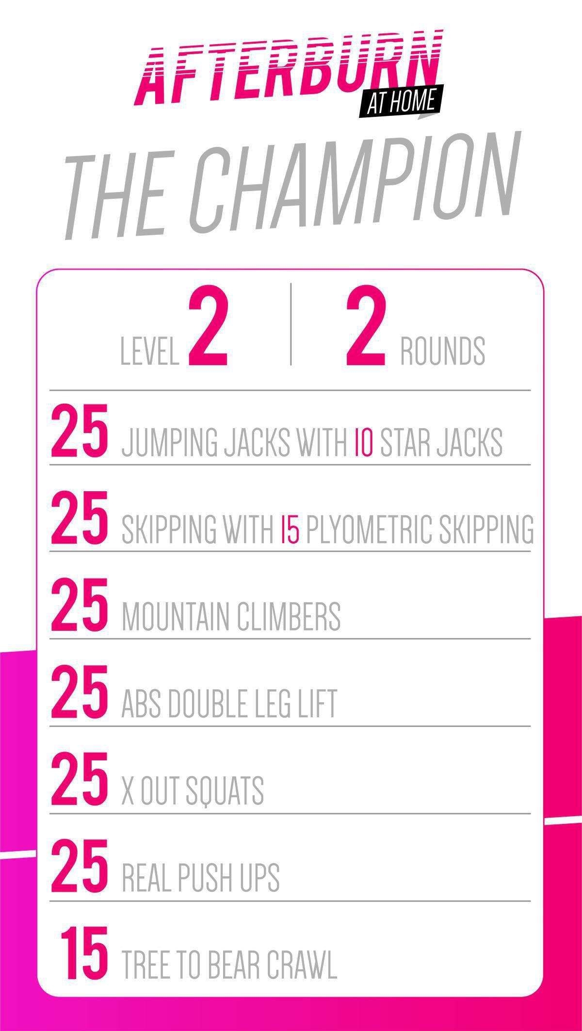 THE CHAMPION THE CHAMPION