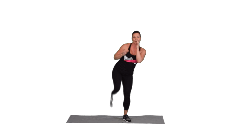 THE CRUSHER THE CRUSHER