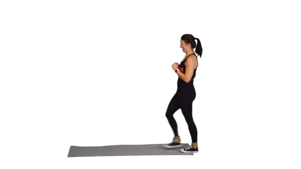 THE CRUSHER THE CRUSHER