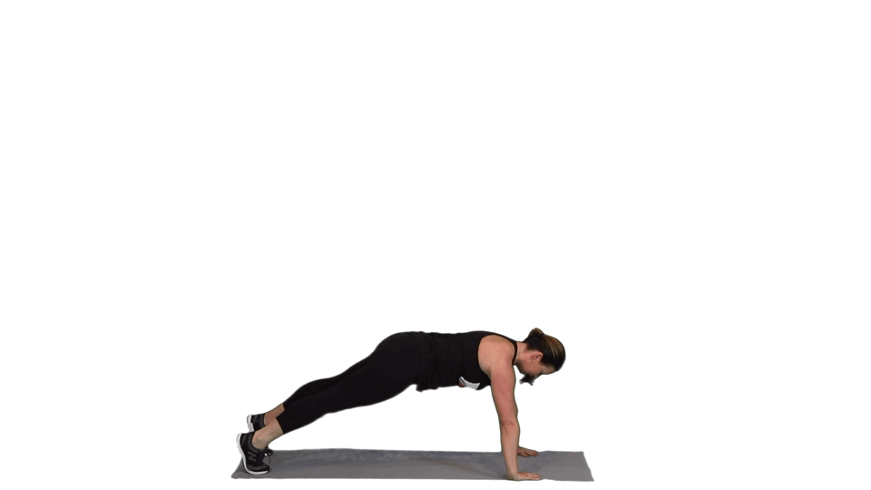 GONE ROGUE GONE ROGUE