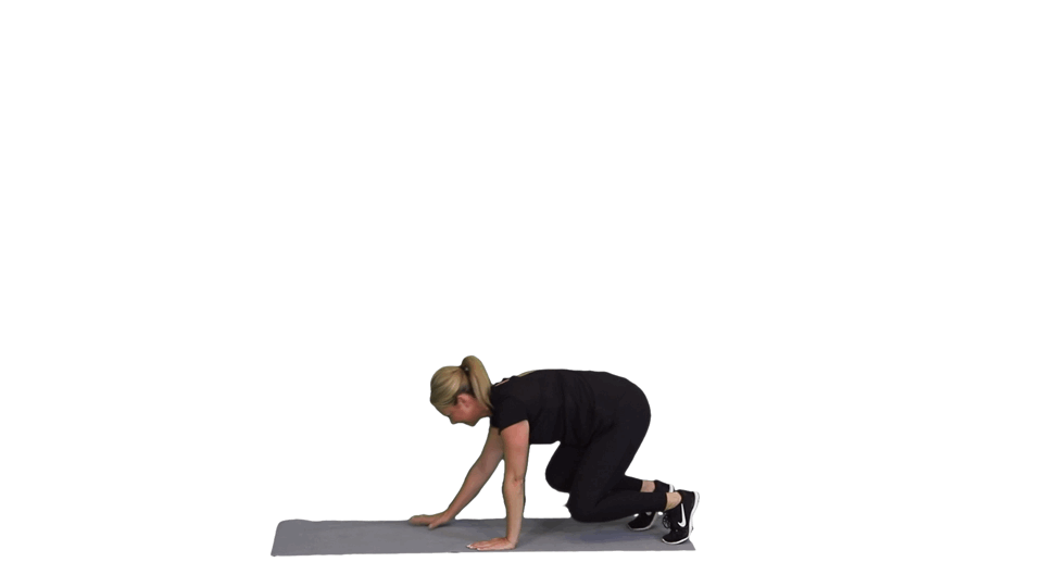 THE TUNDRA THE TUNDRA