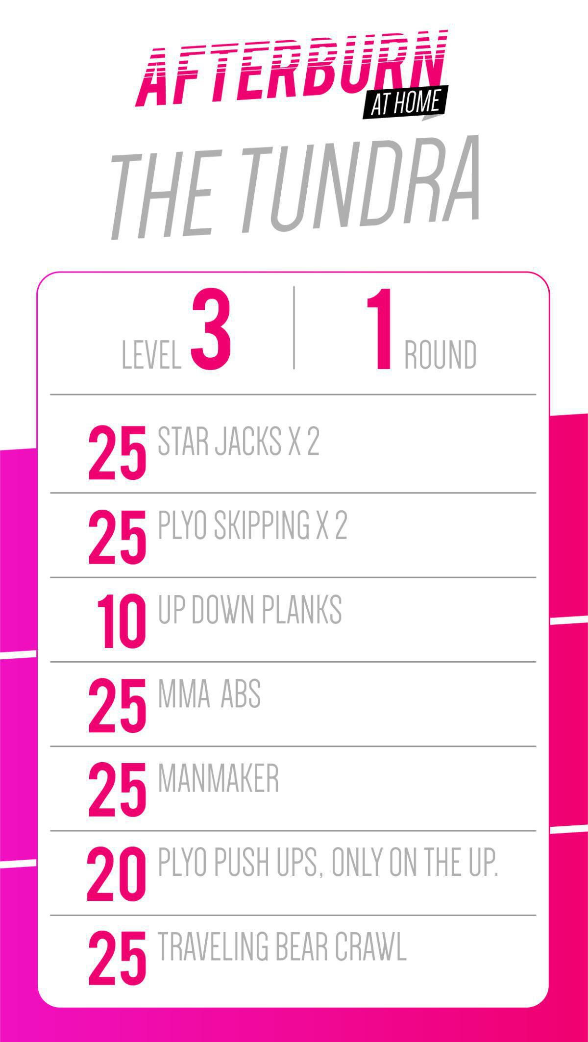 THE TUNDRA THE TUNDRA