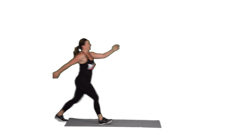 THE TUNDRA THE TUNDRA