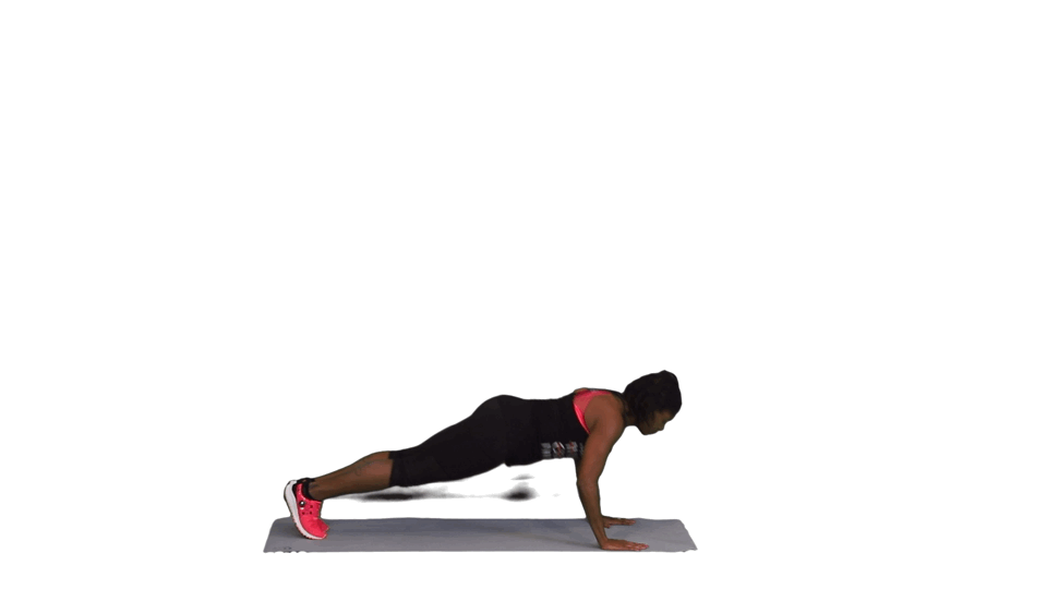 THE TUNDRA THE TUNDRA