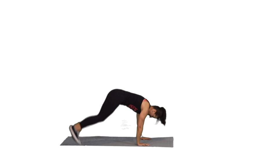 TYRANNOSAURUS ABS TYRANNOSAURUS ABS