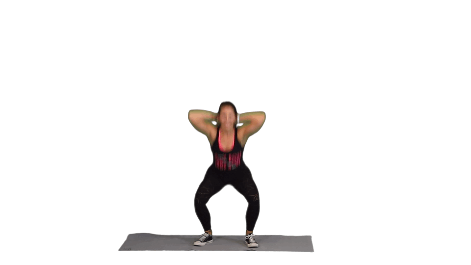 THE PEACEMAKER THE PEACEMAKER