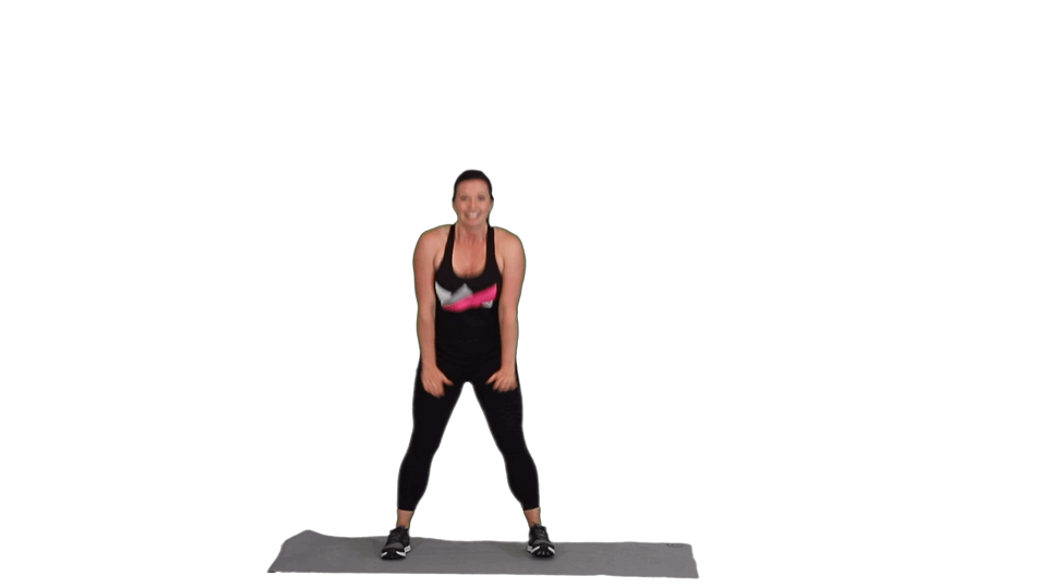 THE PEACEMAKER THE PEACEMAKER