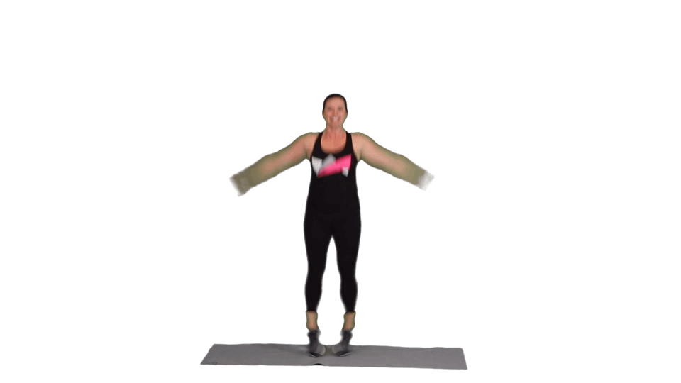 THE PEACEMAKER THE PEACEMAKER