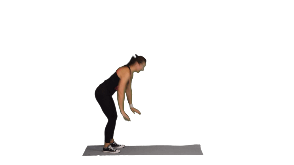 TYRANNOSAURUS ABS TYRANNOSAURUS ABS