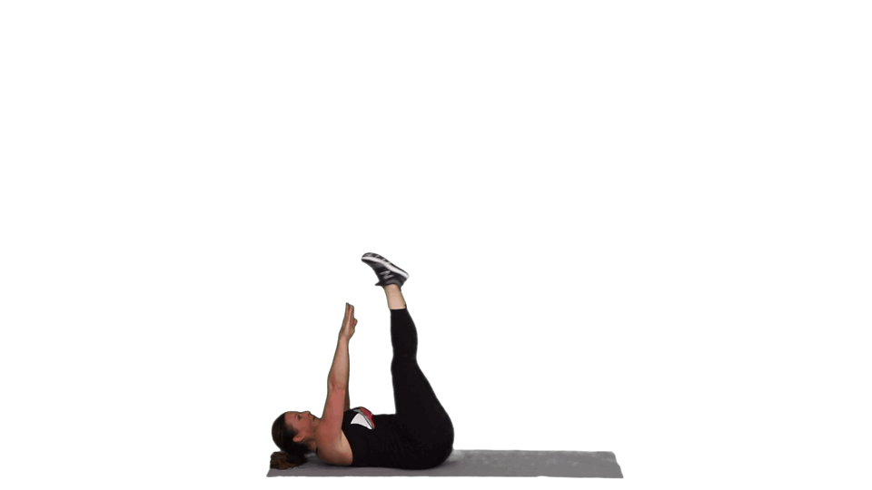 THE WARRIOR THE WARRIOR