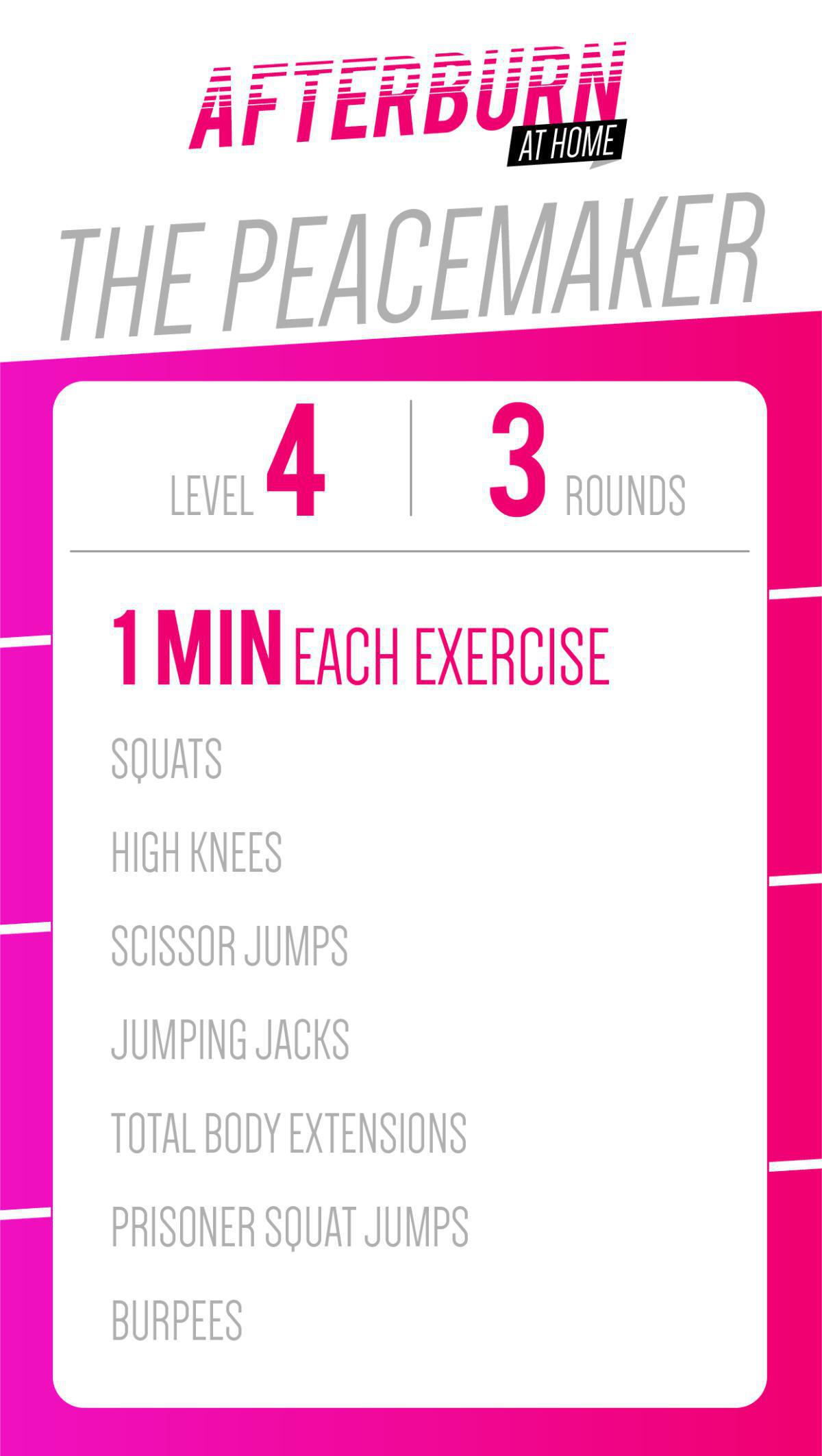 THE PACEMAKER THE PACEMAKER