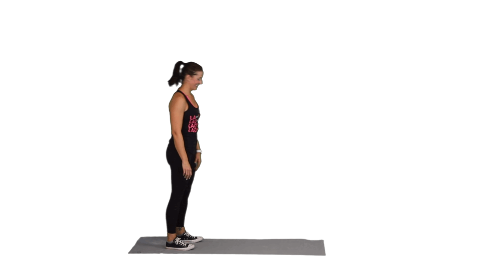 THE WIDOW MAKER THE WIDOW MAKER