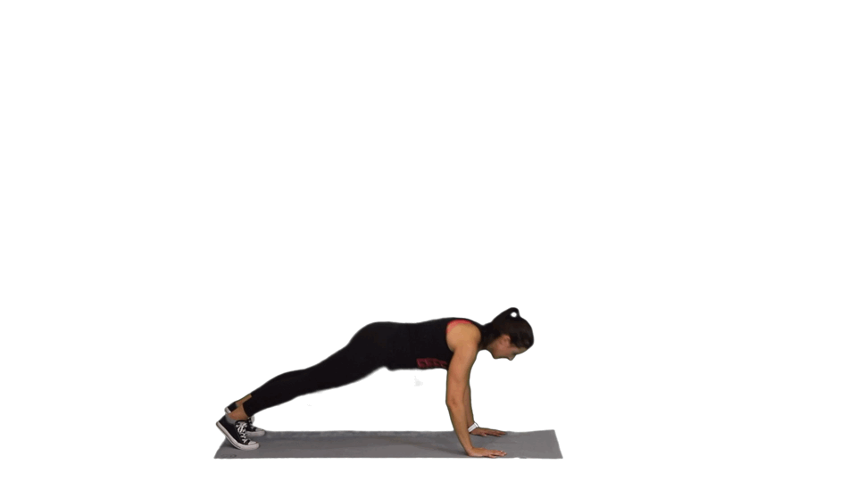 THE TERMINATOR THE TERMINATOR