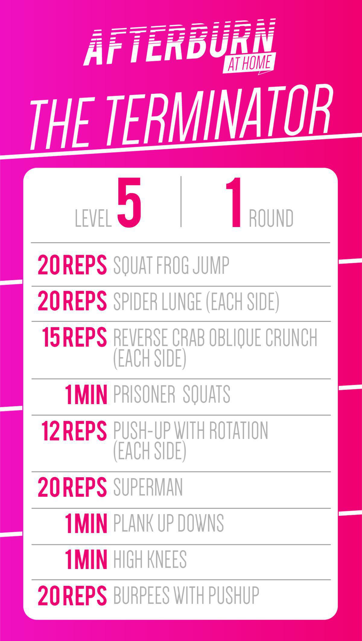 THE TERMINATOR THE TERMINATOR