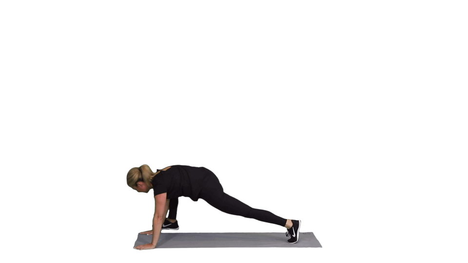 THE TERMINATOR THE TERMINATOR