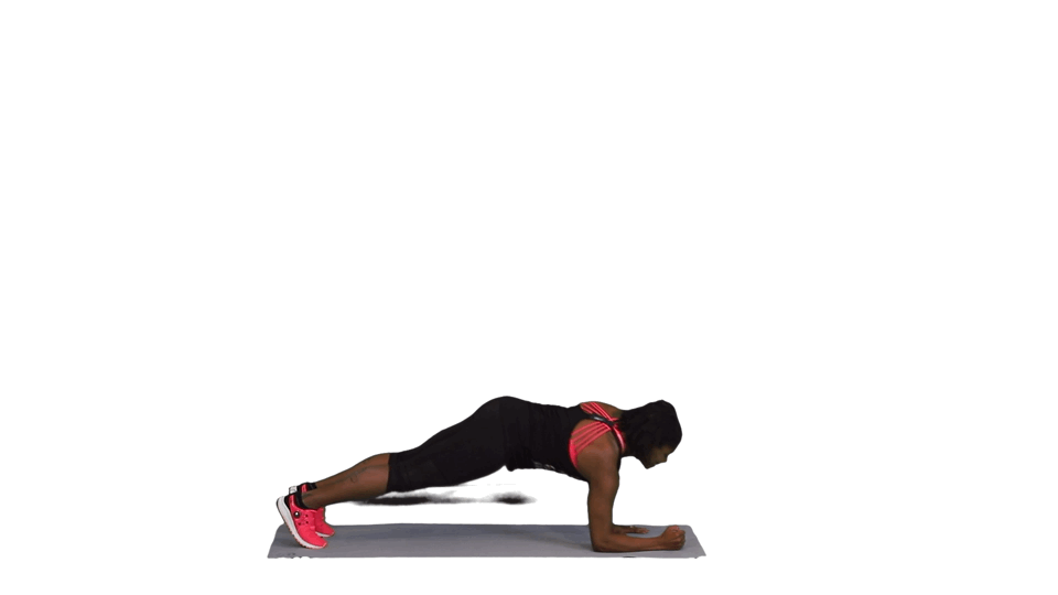 THE TERMINATOR THE TERMINATOR