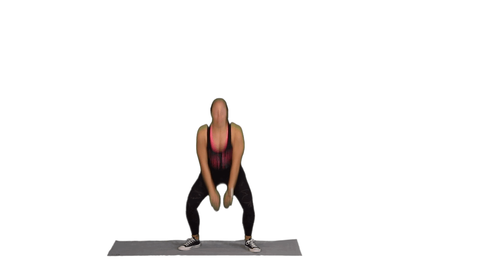 THE TERMINATOR THE TERMINATOR